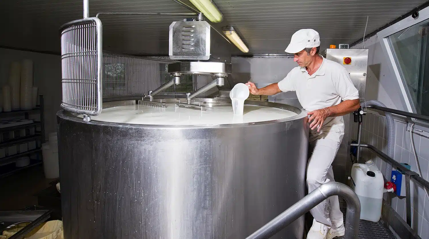 Food and Beverage Industry