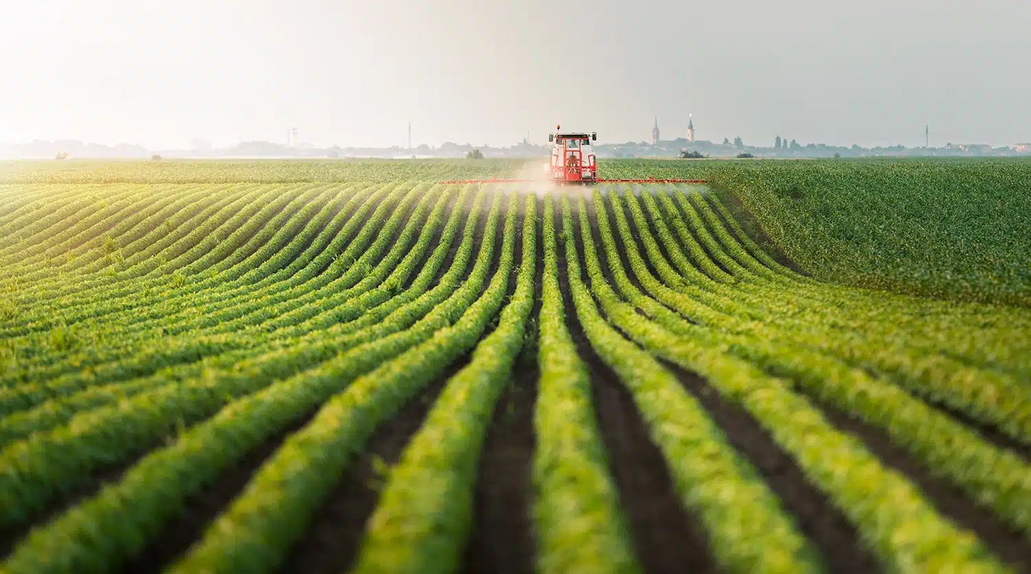 CCS Agriculture AdobeStock_243525780